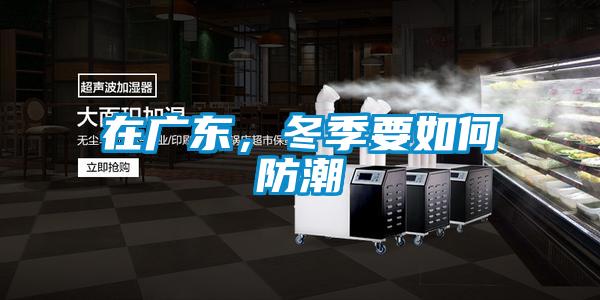 在广东，冬季要如何防潮