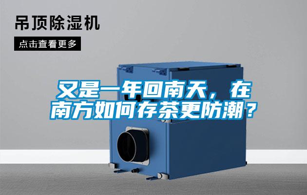 又是一年回南天，在南方如何存茶更防潮？