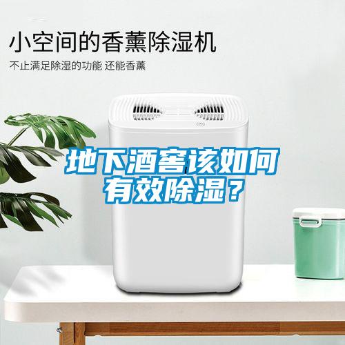地下酒窖该如何有效黄瓜视频下载污？