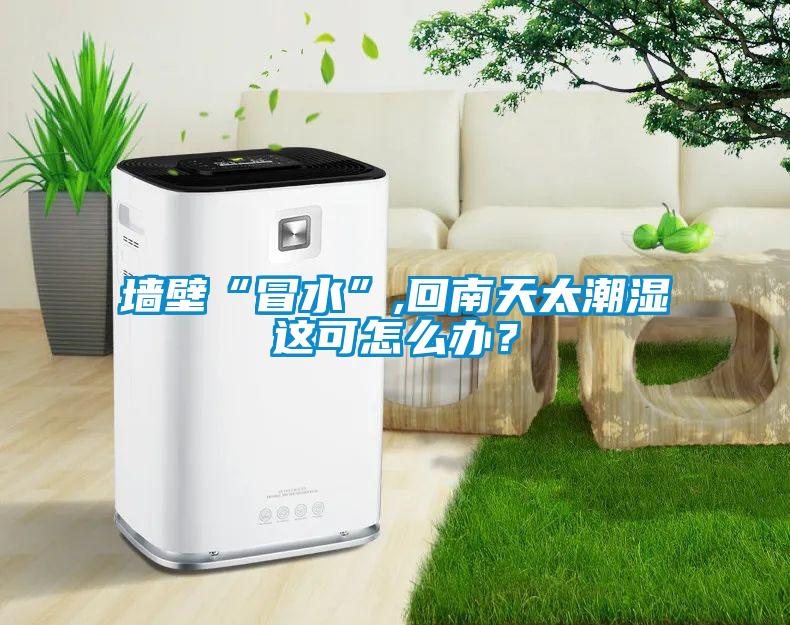 墙壁“冒水”,回南天太潮湿这可怎么办？