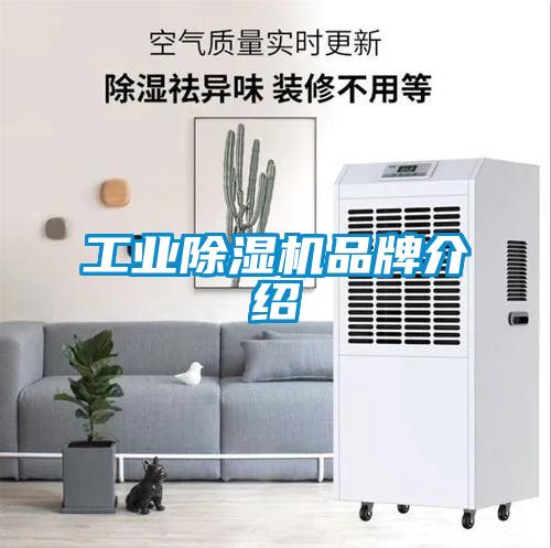 工业黄瓜视频下载污机品牌介绍