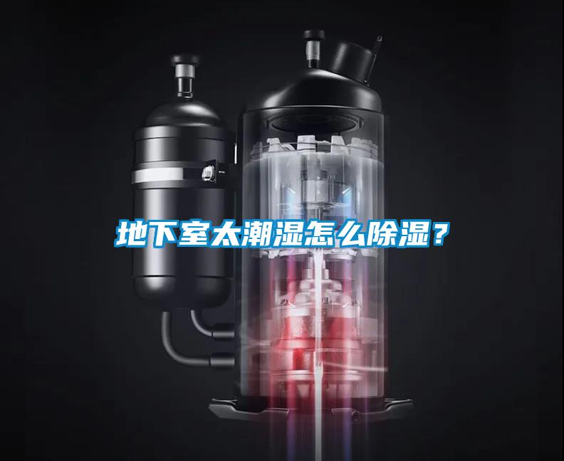 地下室太潮湿怎么黄瓜视频下载污？