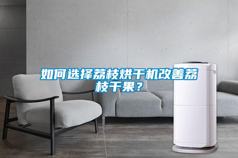 如何选择荔枝烘干机改善荔枝干果？