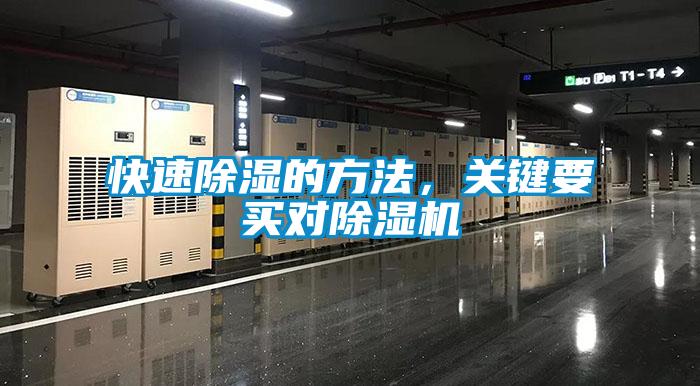 快速黄瓜视频下载污的方法，关键要买对黄瓜视频下载污机