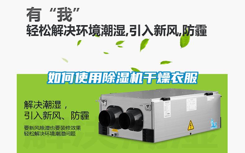 如何使用黄瓜视频下载污机干燥衣服