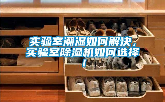 实验室潮湿如何解决，实验室黄瓜视频下载污机如何选择！