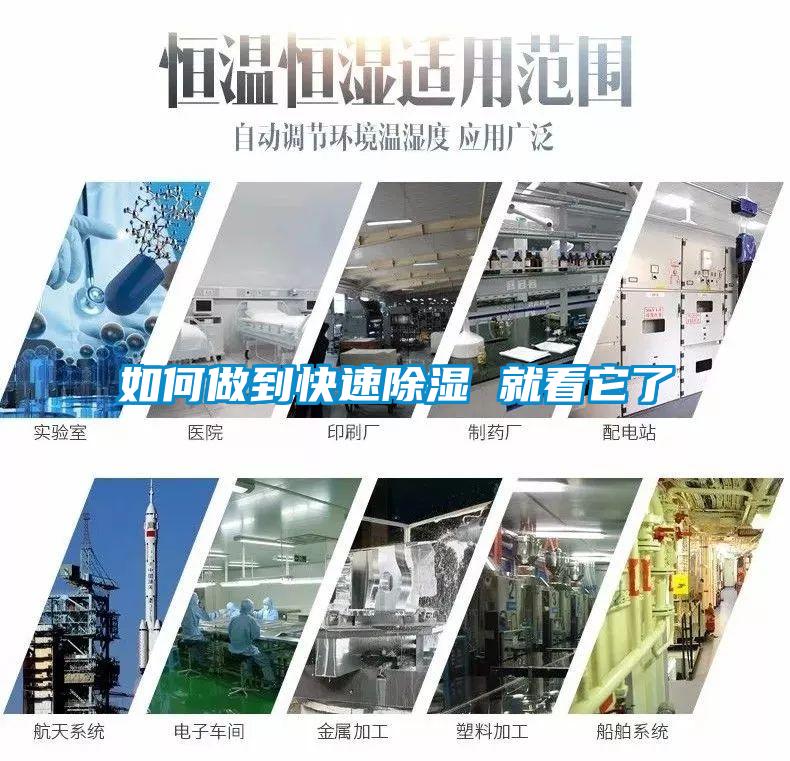 如何做到快速黄瓜视频下载污 就看它了