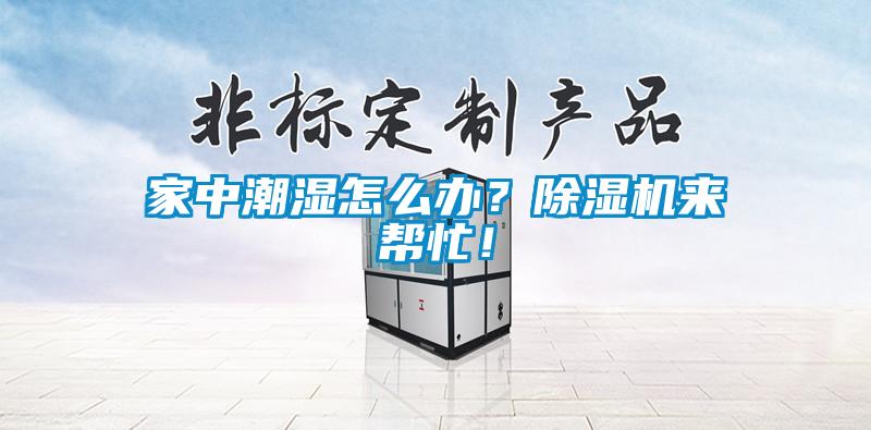 家中潮湿怎么办？黄瓜视频下载污机来帮忙！
