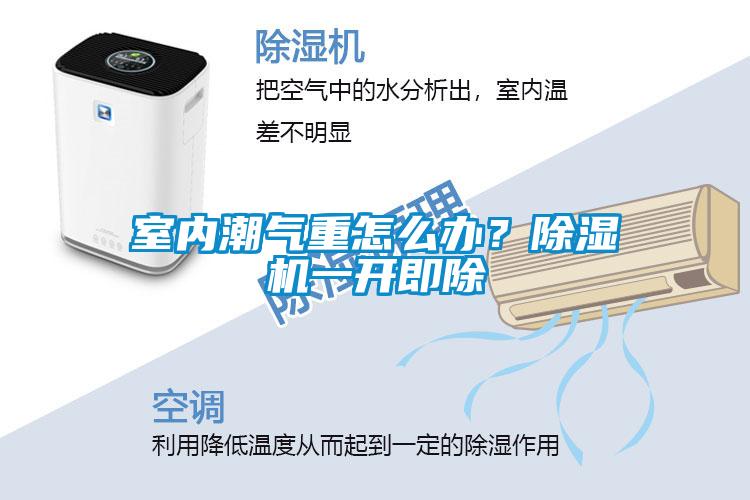 室内潮气重怎么办？黄瓜视频下载污机一开即除