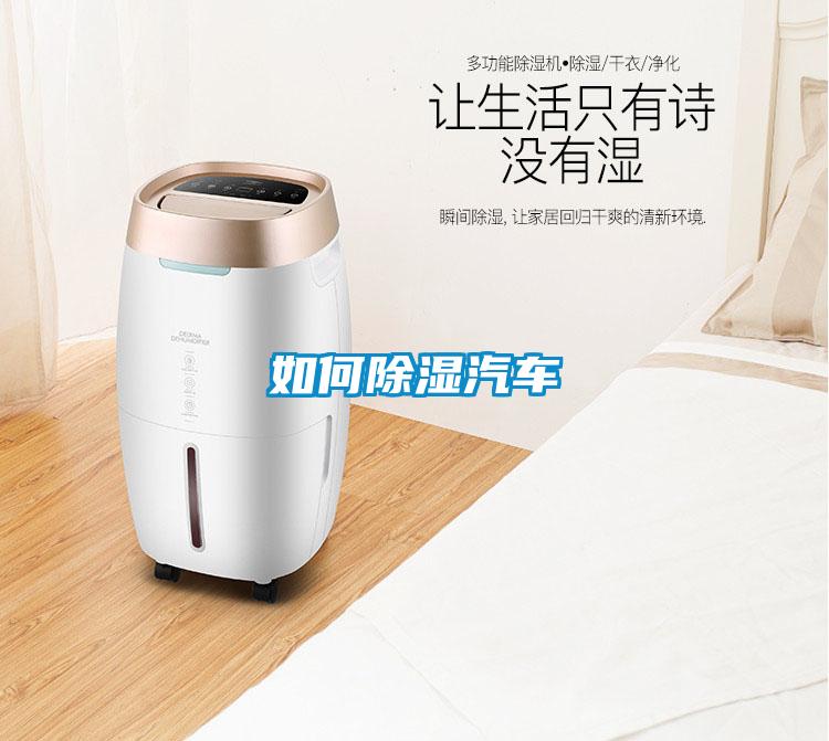 如何黄瓜视频下载污汽车