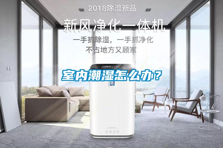 室内潮湿怎么办？