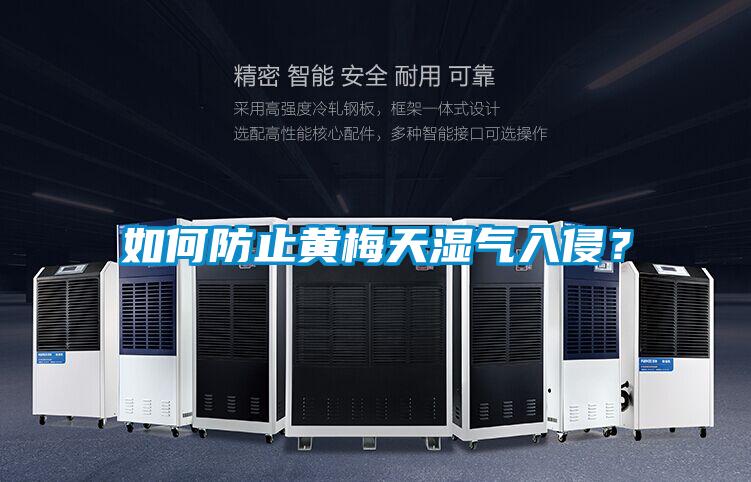 如何防止黄梅天湿气入侵？