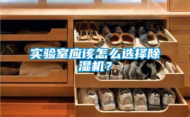 实验室应该怎么选择黄瓜视频下载污机？