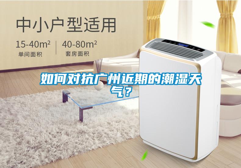 如何对抗广州近期的潮湿天气？