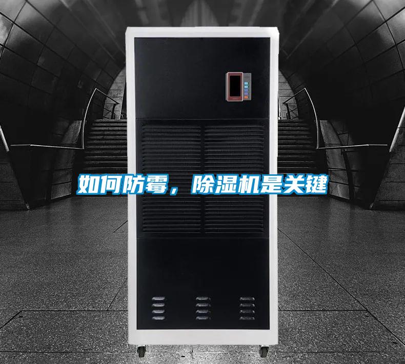 如何防霉，黄瓜视频下载污机是关键