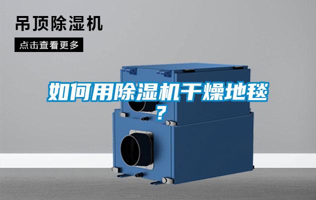 如何用黄瓜视频下载污机干燥地毯？
