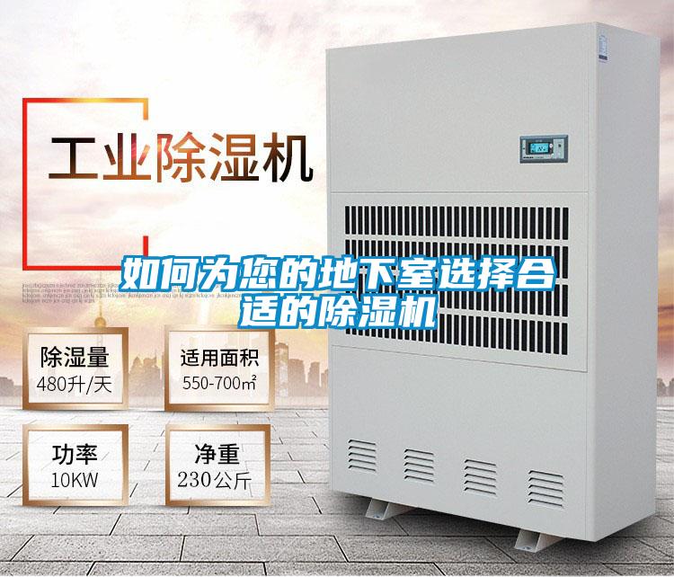 如何为您的地下室选择合适的黄瓜视频下载污机