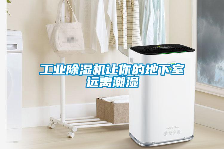 工业黄瓜视频下载污机让你的地下室远离潮湿