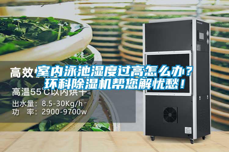 室内泳池湿度过高怎么办？环科黄瓜视频下载污机帮您解忧愁！