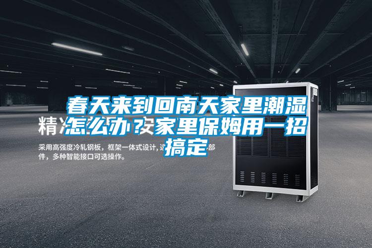 春天来到回南天家里潮湿怎么办？家里保姆用一招搞定