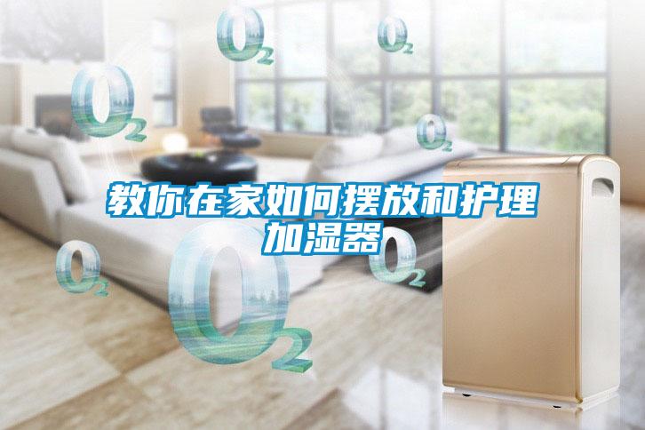 教你在家如何摆放和护理加湿器