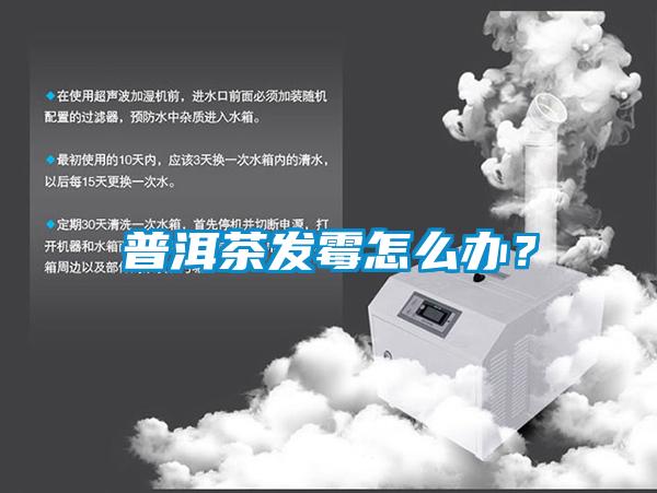 普洱茶发霉怎么办？