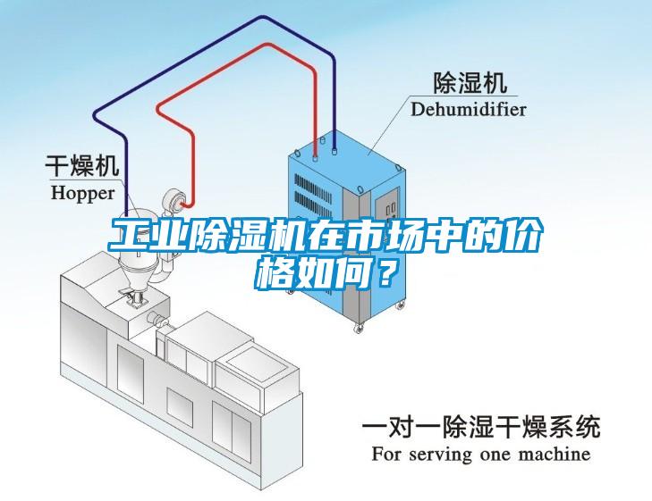 工业黄瓜视频下载污机在市场中的价格如何？