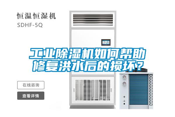 工业黄瓜视频下载污机如何帮助修复洪水后的损坏？