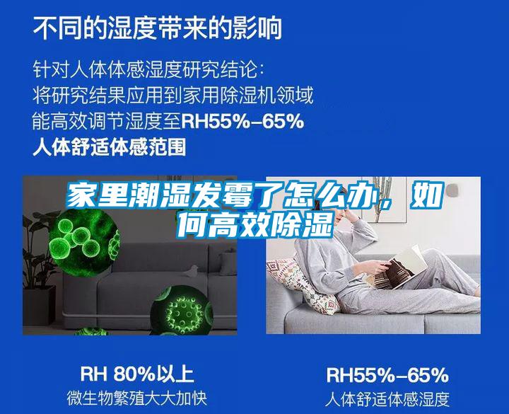 家里潮湿发霉了怎么办，如何高效黄瓜视频下载污