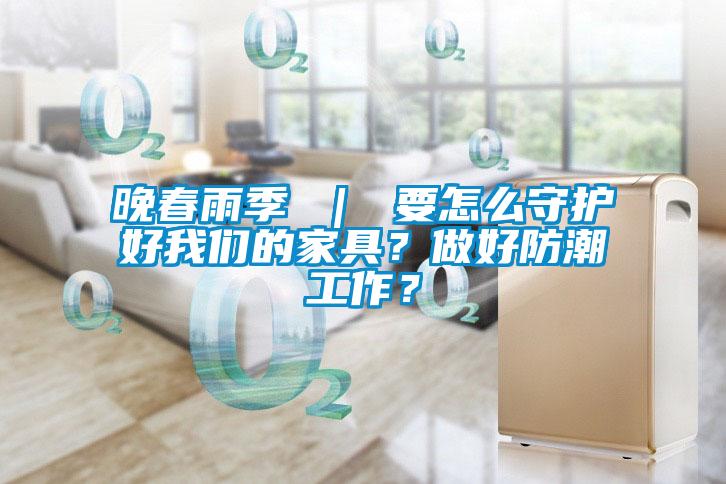晚春雨季 ｜ 要怎么守护好黄瓜视频网站入口的家具？做好防潮工作？