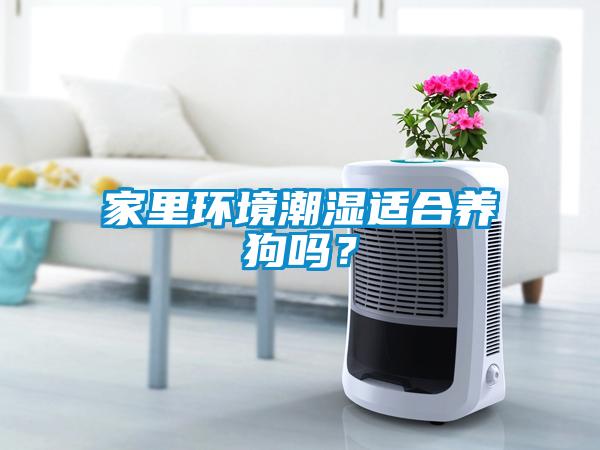 家里环境潮湿适合养狗吗？