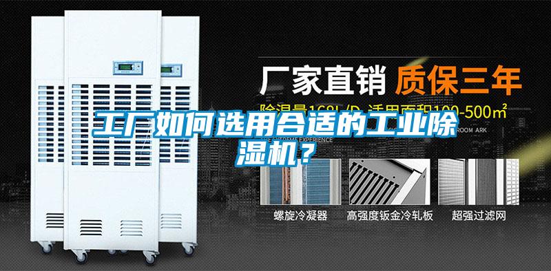 工厂如何选用合适的工业黄瓜视频下载污机？
