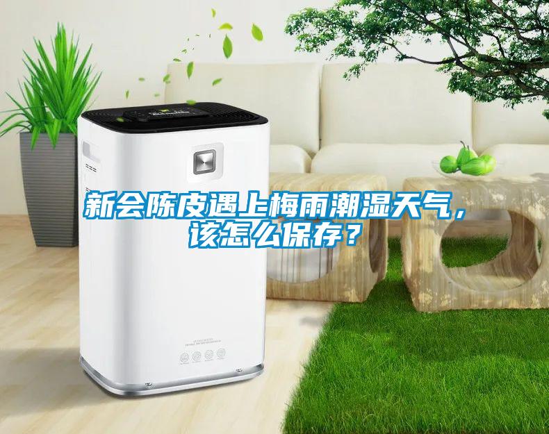 新会陈皮遇上梅雨潮湿天气，该怎么保存？