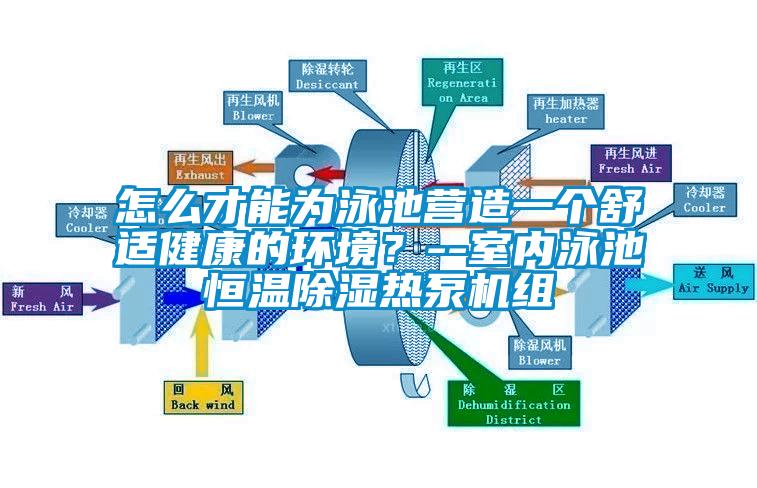怎么才能为泳池营造一个舒适健康的环境?--室内泳池恒温黄瓜视频下载污热泵机组