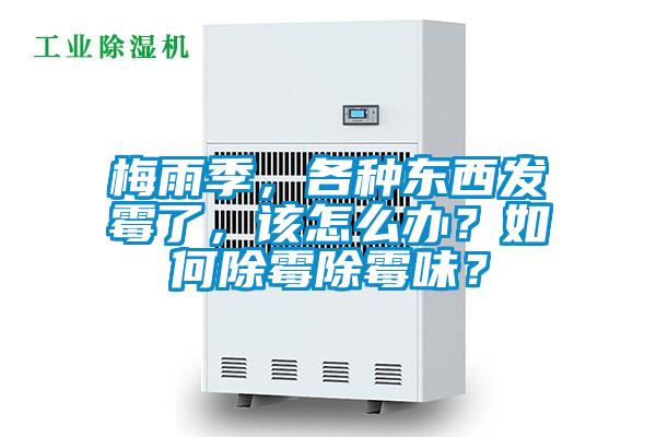 梅雨季，各种东西发霉了，该怎么办？如何除霉除霉味？