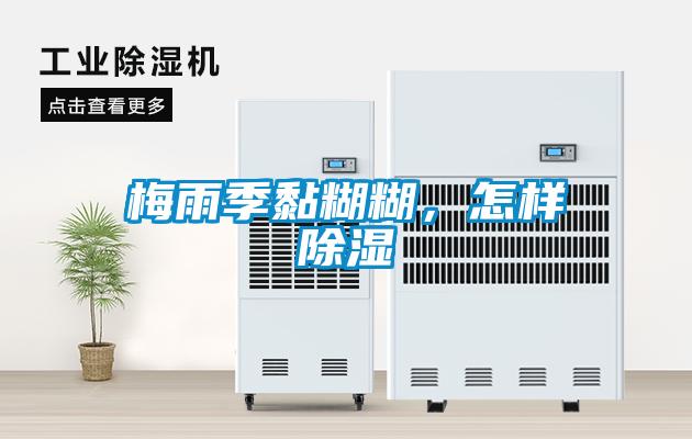 梅雨季黏糊糊，怎样黄瓜视频下载污