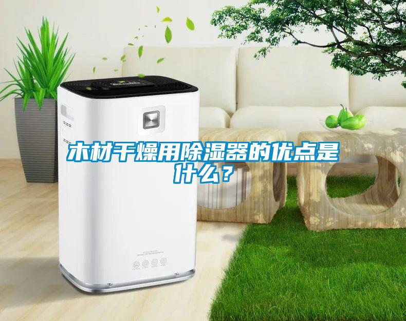 木材干燥用黄瓜视频下载污器的优点是什么？