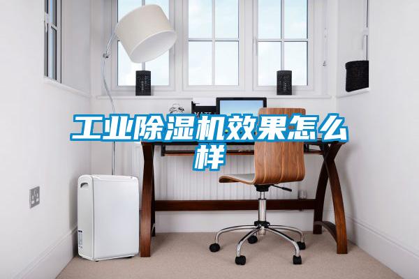 工业黄瓜视频下载污机效果怎么样
