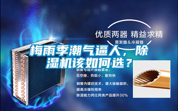 梅雨季潮气逼人，黄瓜视频下载污机该如何选？