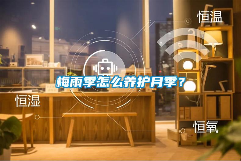 梅雨季怎么养护月季？