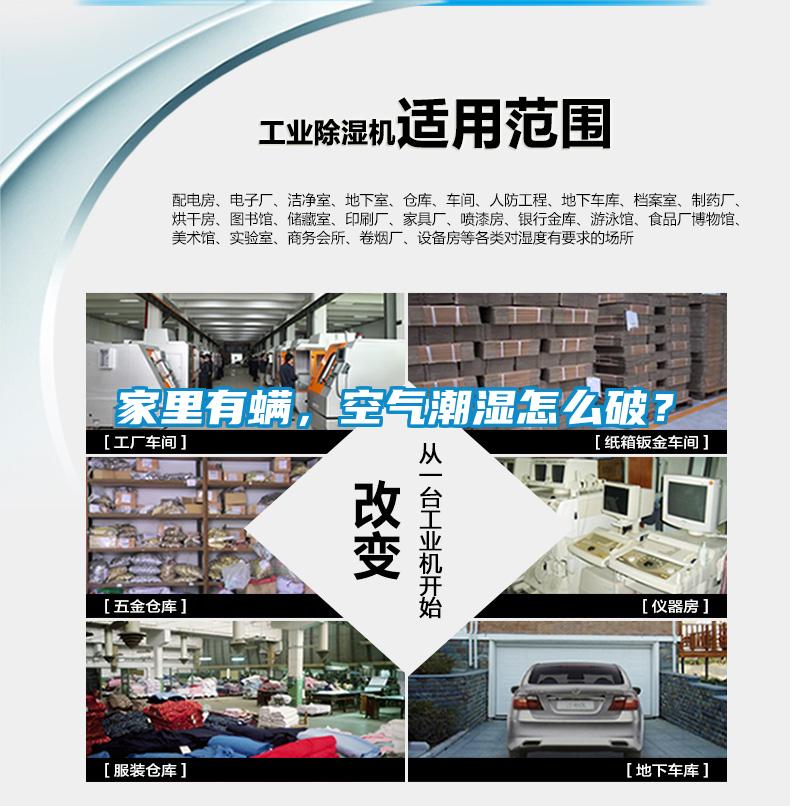 家里有螨，空气潮湿怎么破？