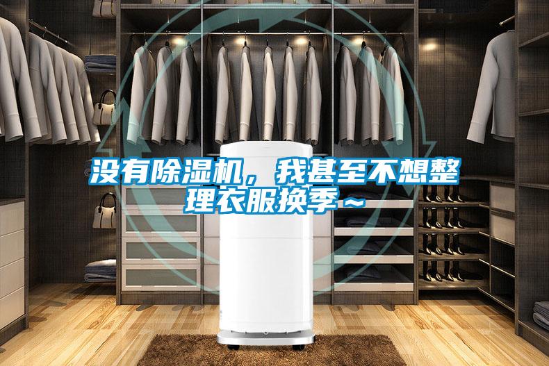没有黄瓜视频下载污机，我甚至不想整理衣服换季～
