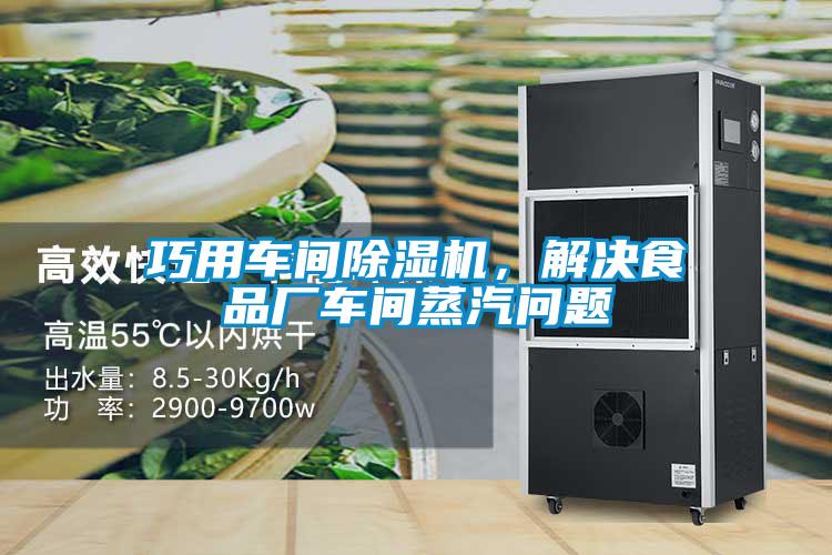巧用车间黄瓜视频下载污机，解决食品厂车间蒸汽问题