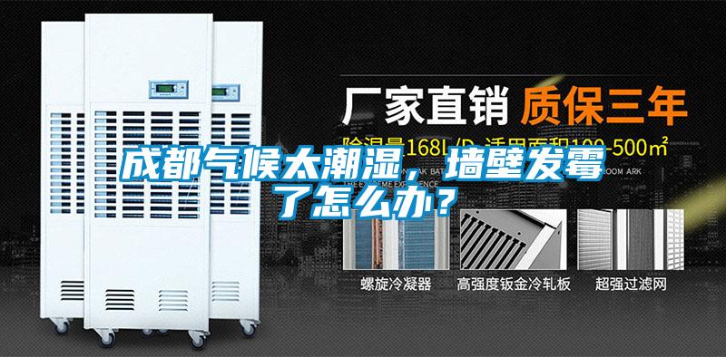 成都气候太潮湿，墙壁发霉了怎么办？