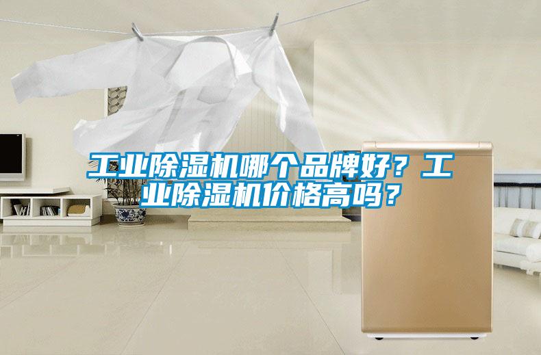 工业黄瓜视频下载污机哪个品牌好？工业黄瓜视频下载污机价格高吗？