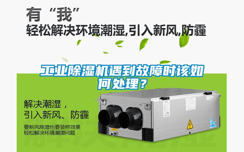 工业黄瓜视频下载污机遇到故障时该如何处理？