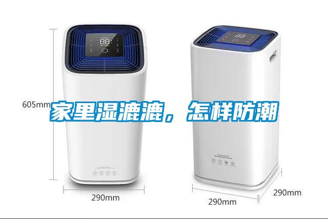 家里湿漉漉，怎样防潮