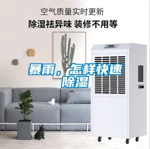 暴雨，怎样快速黄瓜视频下载污