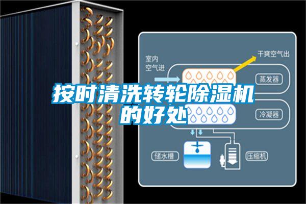 按时清洗转轮黄瓜视频下载污机的好处
