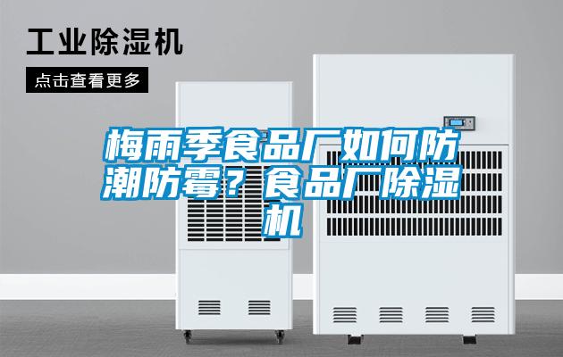 梅雨季食品厂如何防潮防霉？食品厂黄瓜视频下载污机